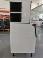 Machine à glaçons secs en flocons bon marché pour buffet meeresbuffet, 3300 livres, 1500 kg par jour