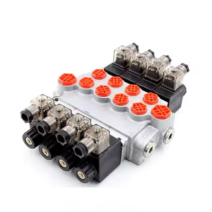 Válvula Solenoide de Control P40-DKL para Soluciones Hidráulicas,  Colaboración OEM y ODM - Product Image 6