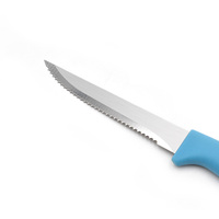 Ensemble de couteaux à éplucher les fruits Promotion Chef, avec lame en acier inoxydable, 5 pièces, ambidextres, durables et tranchants pour éplucher les fruits