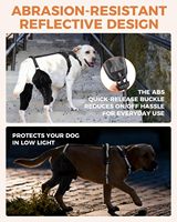 Attelle de genou pour chien antidérapante et réglable, coussinets de protection pour les articulations, attelle ACL CCL pour déchirure du membre arrière, soutien de la rotule luxée