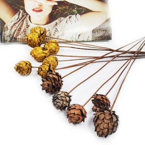 Été <span class=keywords><strong>flora</strong></span> Instagram séchées naturelles <span class=keywords><strong>bouquet</strong></span> pour la Décoration De Noël fleurs séchées pomme de pin - Product Image 4