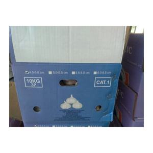 <span class=keywords><strong>Ail</strong></span> d'<span class=keywords><strong>éléphant</strong></span> de plus grande taille <span class=keywords><strong>Ail</strong></span> sec biologique Paquet personnalisable <span class=keywords><strong>Ail</strong></span> blanc pur vers l'Amérique du Sud - Product Image 6