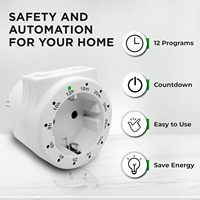 Enchufe Temporizador Digital Inteligente al por Mayor con Contador Regresivo Programable de 15A 230V y Conexión a Tierra para Interiores