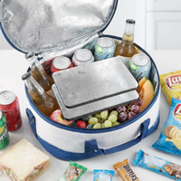 Blocs de glace réutilisables en acier inoxydable PCM pour glacière extérieure – Gardez vos aliments et boissons frais