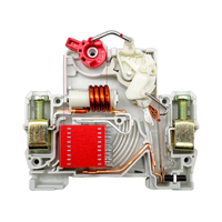 Delixi Serie Dz47s Mini Disyuntores DZ47s 1P C2A Montaje en riel Din MCBs estándar pequeño con material plástico de protección LI