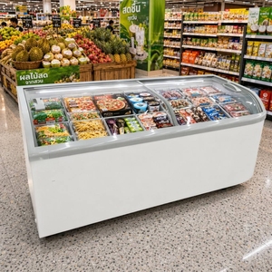 Congélateur coffre de supermarché à efficacité énergétique, réglable, pour aliments surgelés et glaces, avec affichage, contrôle électronique intégré, prise européenne - Product Image 5