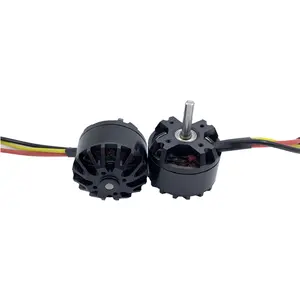 Tùy chỉnh c4240 300kv 600KV DC động cơ 12V 24V cho đài phát thanh điện điều khiển 3D RC máy bay sở thích RC động cơ