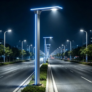 โคมไฟถนนตกแต่งกลางแจ้งกันน้ำ 30W 50W 60W 100W แบบแขนเดี่ยว แขนคู่ ไฟ LED สำหรับสวน - Product Image 6