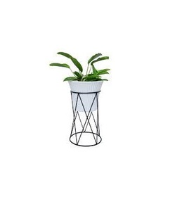 Pot en tôle galvanisée avec manche en bois pour la décoration de votre maison et de votre bureau - Product Image 4