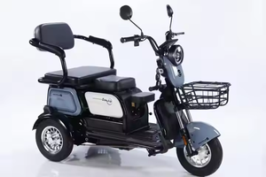 Scooter 1000W longue portée, moto tout-terrain à trois roues pour adultes, sans avis, scooter 1000W - Product Image 4
