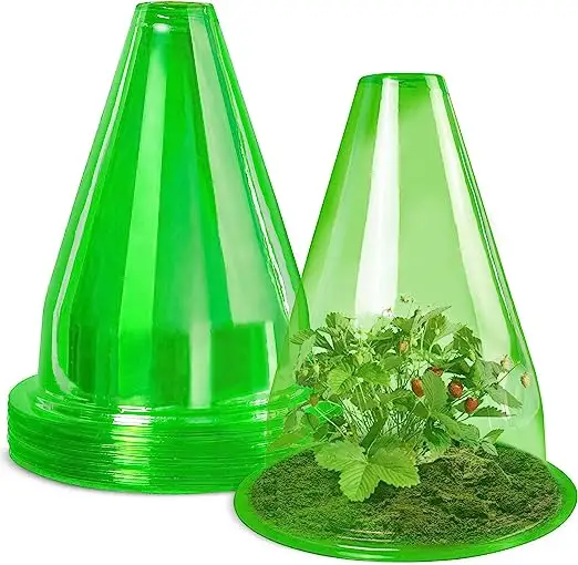 10 paquets de chapeau de protection de plante verte PET dôme Design plante cloche couverture en plastique Cloche de jardin pour fleurs végétales