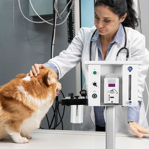 Équipement vétérinaire approuvé Ce portable anesthésie Machine médicale Cliniques d'urgence Équipement hospitalier pour la chirurgie - Product Image 3
