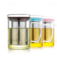 Tasse à thé en verre incassable de 16oz avec infuseur pour infusion de thé en vrac Filtre en acier inoxydable et couvercle en verre