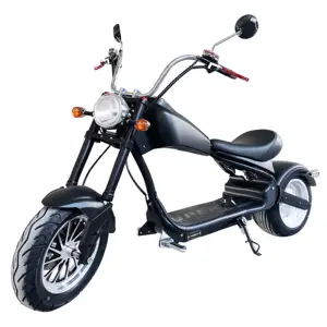 Citycoco fabricação de fábrica com bebê golf evo 50cc motocicletas elétricas scooter para adulto