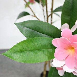 ดอกลีลาวดีเทียมแบบถอดได้ดอกไม้<span class=keywords><strong>สีชมพู</strong></span>สำหรับตกแต่งบ้านในร่ม - Product Image 3