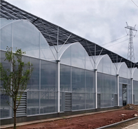 Kit complet de serre commerciale multi-travées économique avec gouttière de drainage et système hydroponique pour semis de tomates et de fraises