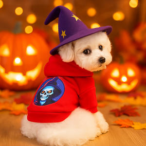 Teddy Bichon Poméranien Petit Chien Chiot Sweat-shirt Style Classique Imprimé sur Polyester pour Printemps Automne Halloween Happy Cat Days - Product Image 3