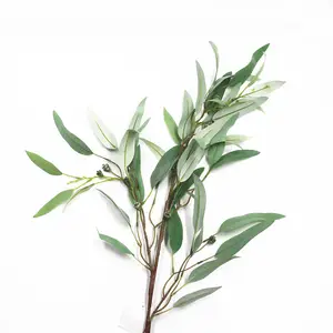 Eucalyptus 117cm Hiqh Quality Big Eucalyptus Pick Leaves Eucalyptus Leaves For Sale For Home Decor