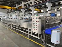 Ligne complète de traitement du concombre personnalisée clé en main équipement d'usine de production de céleri/chou frisé/concombre pour usine de fruits et légumes