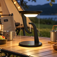 Lanterne de camping LED portable, lumière d'ambiance extérieure, lampe de table pour tente, patio, pique-nique, jardin, décoration nocturne et rassemblements en plein air