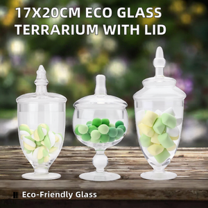 Terrario Cilíndrico de Vidrio Transparente Moderno de 17*20cm con Tapa de Corcho de Madera, Gran Capacidad, Hecho a Mano, Ecológico, Decorativo para Bodas - Product Image 2