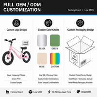 12/14 Zoll Magnesium Alloy Balance Bike mit günstigen Preis Fahrräder für Trainer/Baby Balance Fahrrad