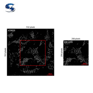El Sistema de Superresolución N-STORM Ofrece Diez Veces Más Resolución que los Microscopios Ópticos Estándar - Product Image 3