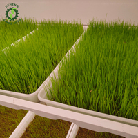 Système hydroponique de qualité alimentaire personnalisable avec technologie de plantation LED, équipé d'un broyeur de fourrage