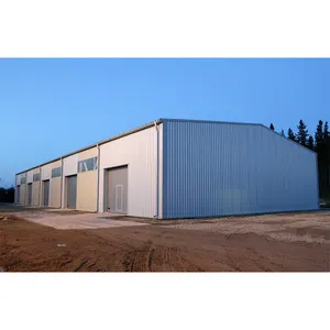 China Low Cost Steel Structure Poultry Farm Building Warehouse