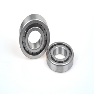 Rodamiento de Bomba Hidráulica F-237492, F-237492.01 50x100x29mm, Rodamientos de Rodillos Cilíndricos de Complemento Completo F-237492.01NUP - Product Image 2