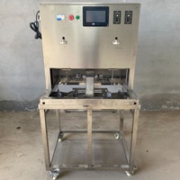 Dubbele Station Volautomatische Cirkelvormige Fruitschiller Citroenschilmachine Oranje Passievrucht Apple Automatische Dunschiller