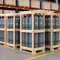 CO2 5N 99,999% de pureté élevée, dioxyde de carbone, cylindre de 40L, 47L, 50L pour laser, gaz de protection, soudage, O2, Ar, N2, He