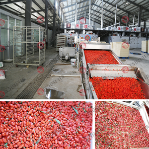 1- 10 Ton Lini Produksi Pengeringan Bubuk Cabai Kering Otomatis yang Dapat Disesuaikan - Product Image 2