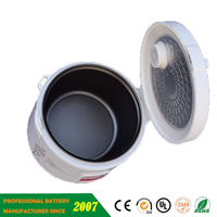 Cuiseur à riz solaire 12V DC prix de gros fabriqué en Chine cuiseur à riz solaire portable de voyage antiadhésif 2L