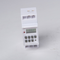 Interruptor Temporizador Digital Electrónico Profesional Mini, Programable Semanalmente, Impermeable, con Pantalla LCD Grande de 24 Horas