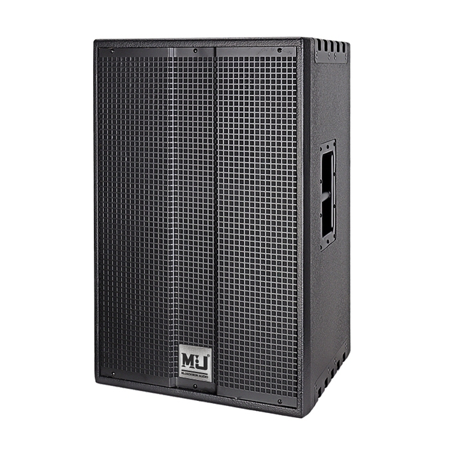 DW15 Single 15'' Performance Professional Passive Speaker Stage Speakers System for Outdoor