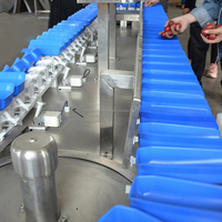 Plc Selectie Kersengroente Weegsorteerder Fruit Groente Sorteerapparatuur Roterende Schijf Gramgewicht Sorteermachines