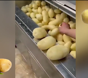 Máquina Peladora de Patatas y Zanahorias de 12 kg/hora, Lavadora de Patatas, Peladora de Yuca, Máquina de Limpieza de Frutas y Verduras - Product Image 4