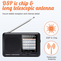 Werkslieferung Angepasstes CE& ROHS Tragbares Taschenradio Kurzwelle AM FM MW SW Multiband Digital Internetradio 3,5mm Kopfhöreranschluss
