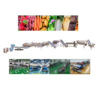 Complete Set Van Fruit En Groente Wasmachine Machine Snijden Wassen Drogen Verwerking Productielijn