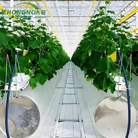 Serre tunnel agricole à toit unique à faible coût, film PE, petite taille, meilleur prix du fabricant chinois pour la culture de tomates et de légumes