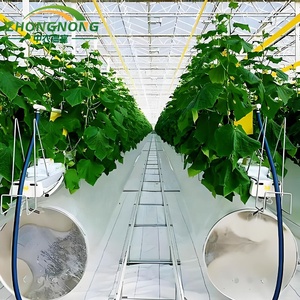 Invernadero Agrícola Tipo Túnel de Techo Único de Bajo Costo, Película de PE, Tamaño Pequeño, Mejor Precio del Fabricante Chino, para Cultivo de Tomates y Vegetales - Product Image 5