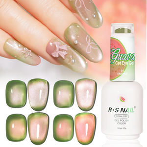 R S Nail Best Seller 16G Guava Cat Eye Gel 4 colores Italia Msds Manicure Uv Led Nail Gel Cat Eye Gel de larga duración de alta calidad - Product Image 1