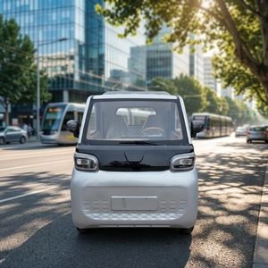 Véhicule électrique robuste personnalisé, camionnette électrique, voiture électrique à 4 roues, petit véhicule électrique - Product Image 2