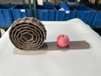 Chaîne à rouleaux industrielle en plastique Donglong durable pour système de convoyeur de machine d'emballage, pièces de machines