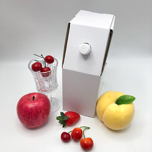 Pochette refermable en aluminium de 2 L avec bec verseur interne, anti-fuite, écologique, thermoscellable pour jus, vin rouge, lait, vodka - Product Image 3