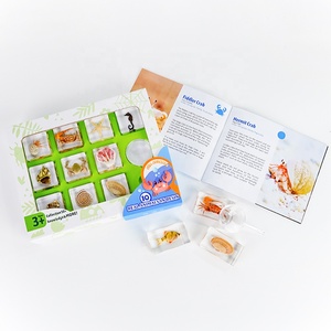 Espécimen de Insecto en Taxidermia, Espécimen en Resina, Insectos en Taxidermia en Resina, Taxidermia de Insectos, Set de Regalo de Animales Reales - Product Image 2