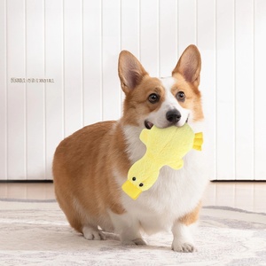 En iyi Pet malzemeleri kırışık köpek oyuncak küçük orta ve büyük irkları için Pet çiğnemek oyuncaklar Pet oyuncaklar - Product Image 6