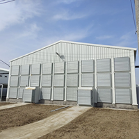 Equipo de pollo de engorde de diseño moderno automático para construcción de fabricación para granja avícola y diseño de cobertizo de pollos