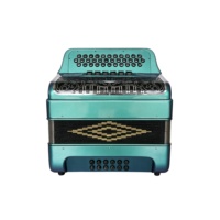 Accordéon diatonique SEASOUND 34 boutons 12 basses 6 registres vert caméléon noir argent grille boutons noirs JB3412E Musical